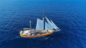 Boat Experience