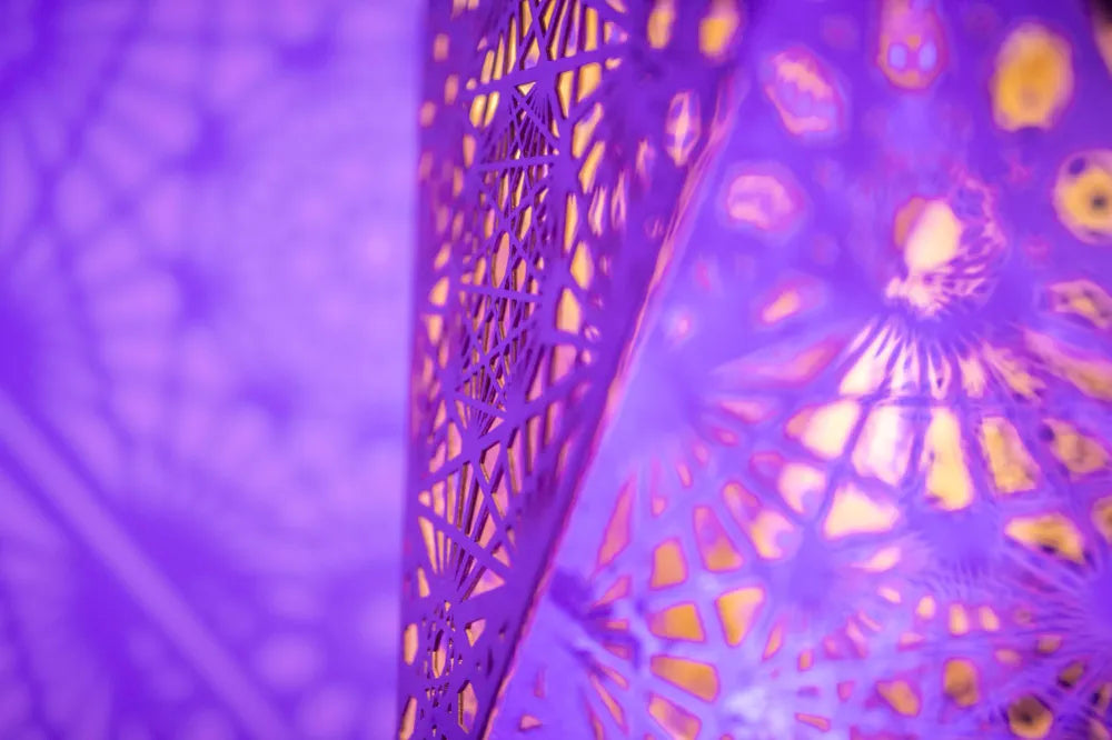 gallery-cdmx2024-033