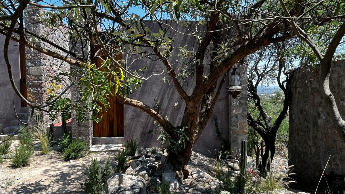 Valley View Double Room